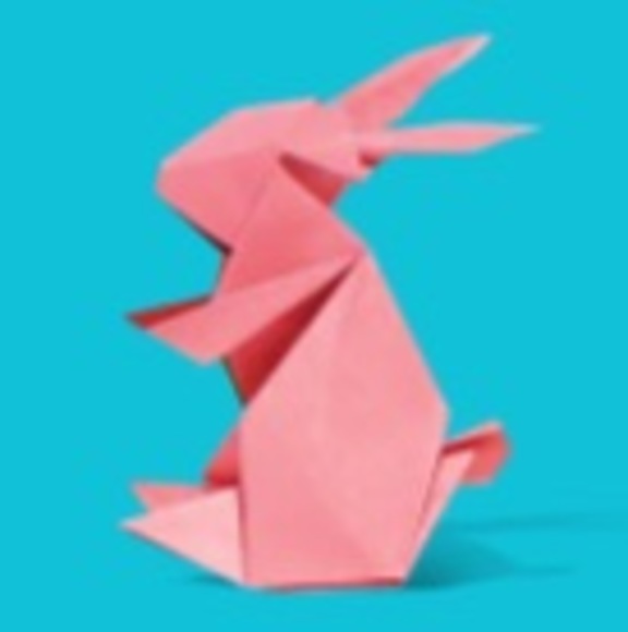 Meet your Posher, Brienna - Picture 1 of 1